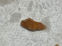 核桃酥里有核桃皮-泸溪河桃酥(西直门凯德店)