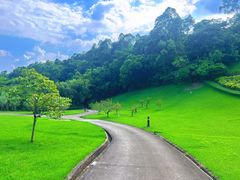 -广州莲花山旅游区