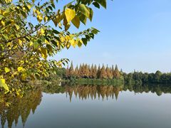 -成都南湖公园