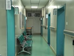 -北京观赏动物医院·24小时大型综合·猫专科·异宠专科