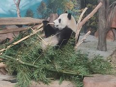 -南宁市动物园