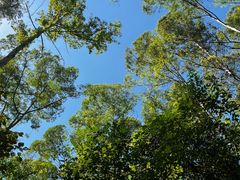 -水濂山森林公园