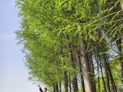 -滆湖低碳生态公园