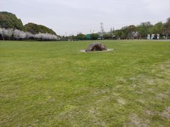 -昆山城市生态森林公园