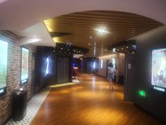 -SFC上影百联影城(大上海4DX店)