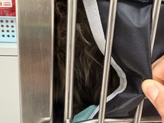 -派美特宠物医院·核磁CT·骨科肿瘤·疑难转诊(沈农禾丰店)