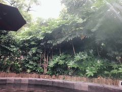 -达蓬山旅游度假区
