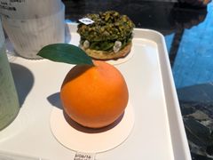 -TD66高山铁皮石斛养生茶饮