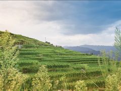-龙脊梯田