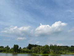 -东郊湿地公园