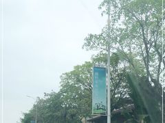 -美的鹭湖森林度假区
