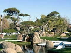 -罗红摄影艺术馆