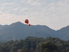 -午潮山国家森林公园