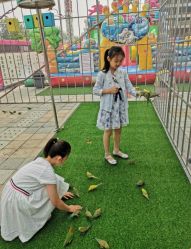 -萌宠亲子动物乐园(槐房万达店)