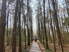 -同里国家湿地公园