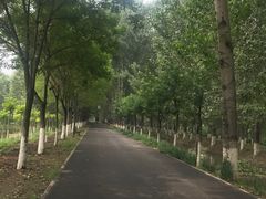 -东郊湿地公园