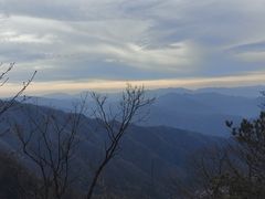 -王顺山国家森林公园