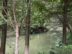 -八大山人梅湖景区