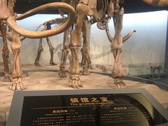-大庆市博物馆
