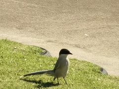 -白鹭洲公园