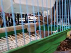 -炮仗羊肉馆(郑陆店)