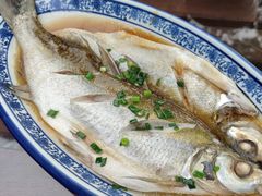 清蒸白水鱼-品渔味湖鲜馆(拈花湾店)