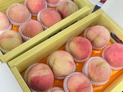 -南汇水蜜桃采摘(大团店)