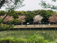 -玉山公园
