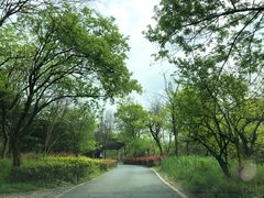 -木守西溪溪隐餐厅