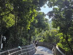 -福道
