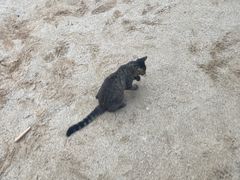 -DGE季风钓虾营地·团建·聚会