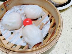 -点都德(奥体印象城店)