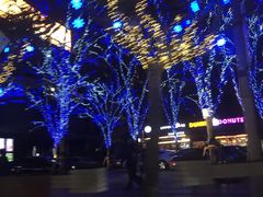 -上海静安香格里拉大酒店