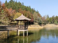 -千岛湖龙川湾