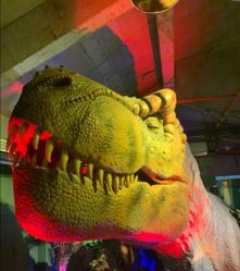 -恐龙探索乐园(磁器口店)