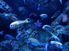 -成都浩海立方海洋公园