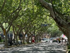 -一尺花园(安和花园店)