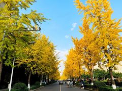 -四川大学(望江校区)