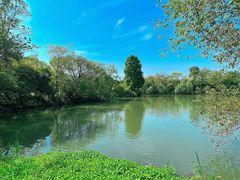 -新荣记(西溪湿地店)