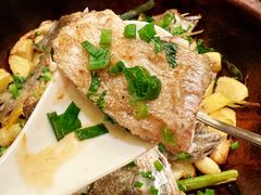 砂锅焗立鱼-沙龙酒家