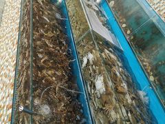 -港畔赶海蒸汽海鲜烧烤自助(仙螺岛店)
