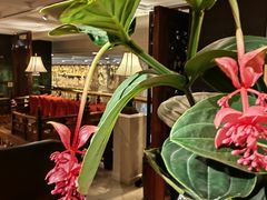 -广州花园酒店