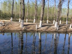 -东郊湿地公园