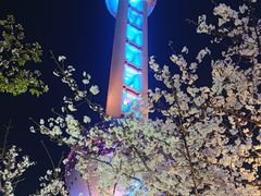 -东方明珠广播电视塔