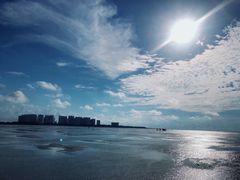 -北海金海湾红树林生态旅游区