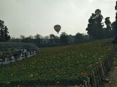 -秀丽东方