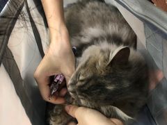 -荔康动物医院(康王北路店)