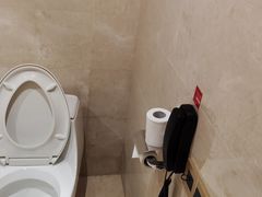 -合肥丰大国际大酒店
