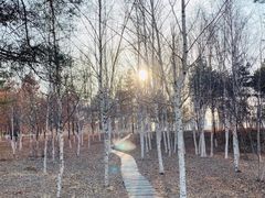 -长春世界雕塑园冰雪艺术天地