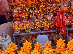 -越秀西湖花市(广州城市广场花卉店)